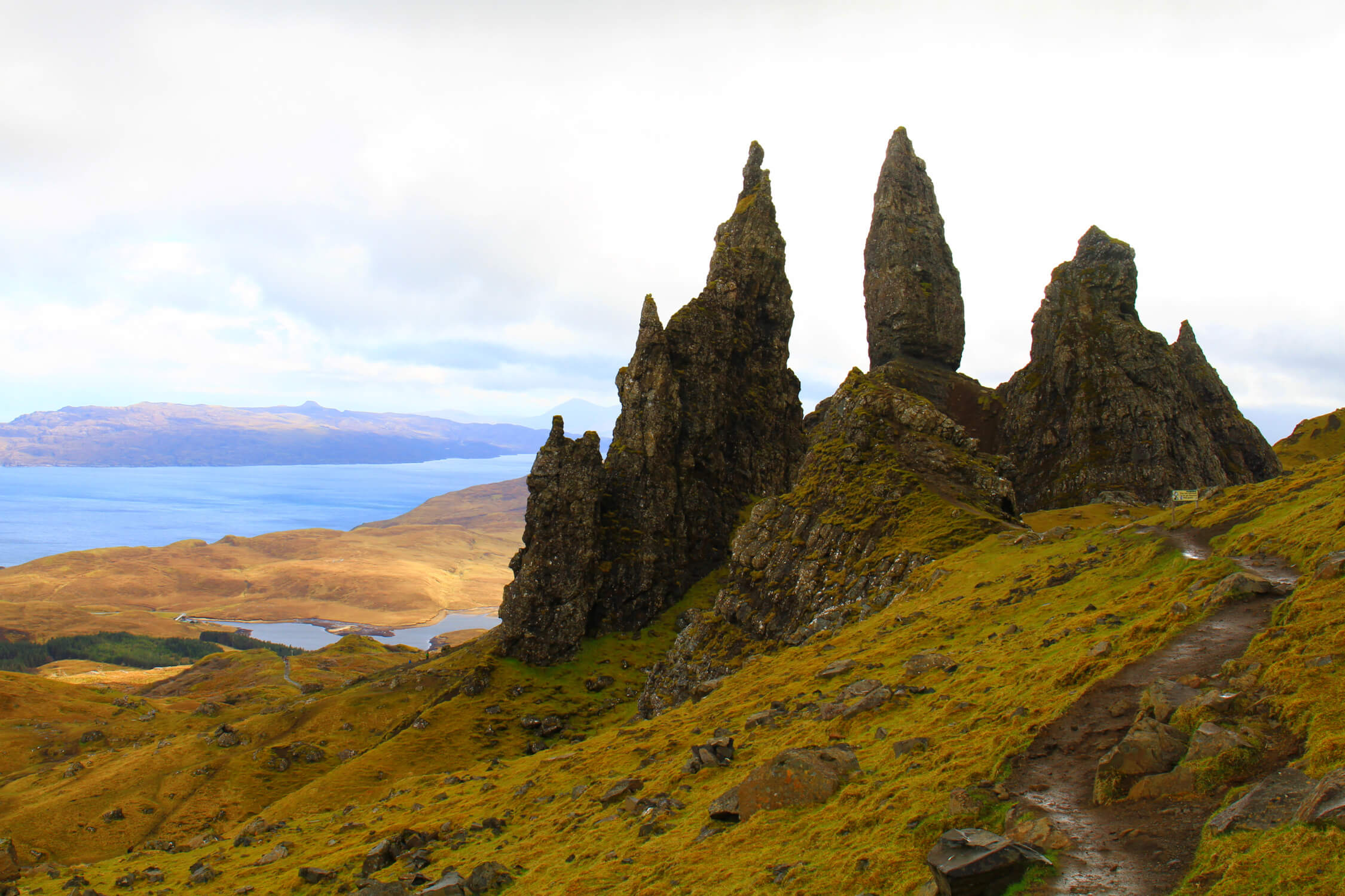 Ardbeg Destilleri - Et Ikon i Islay Whiskyens Verden