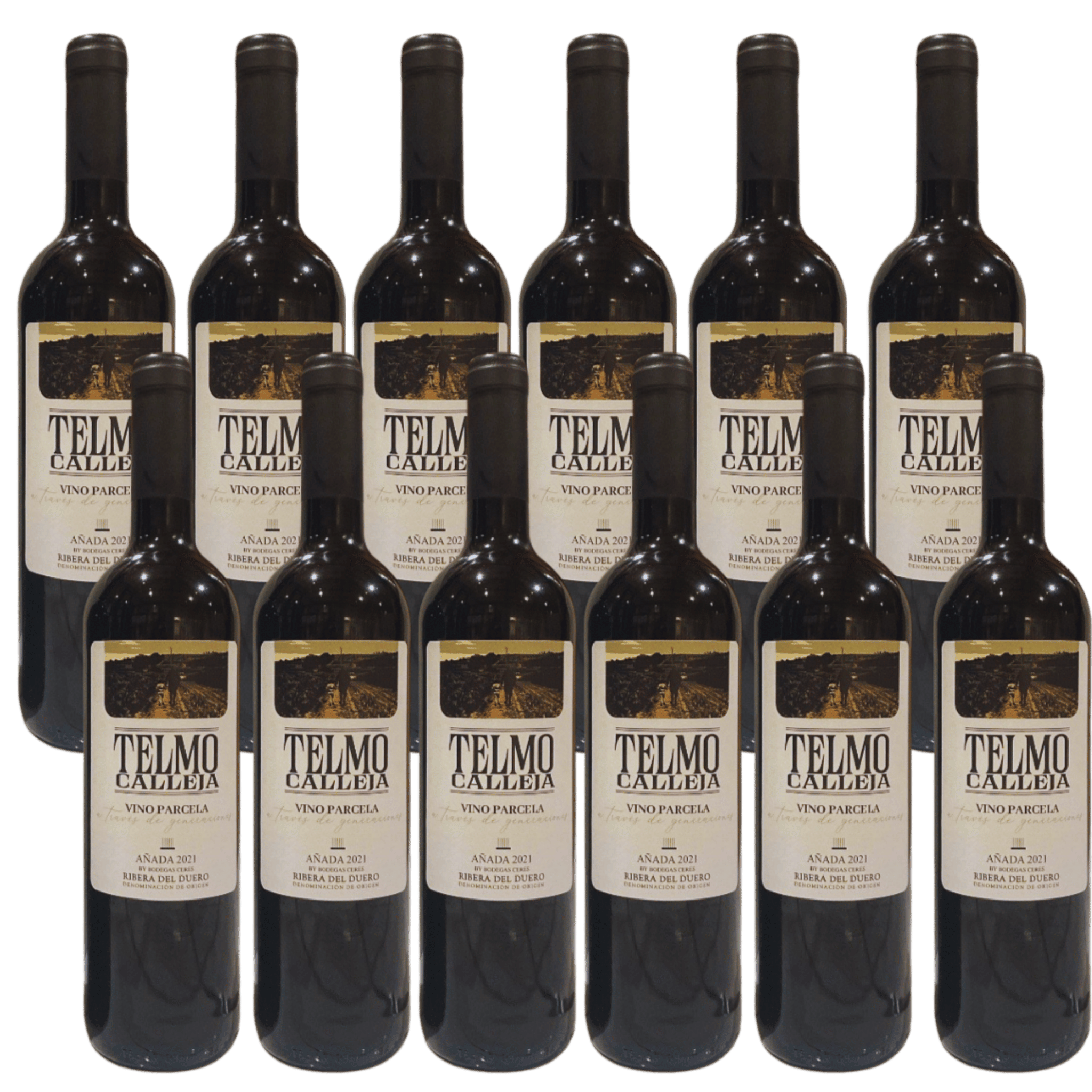 En kraftfuld smagsoplevelse: Ribera Del Duero Telmo – 12 flasker fuld af karakter