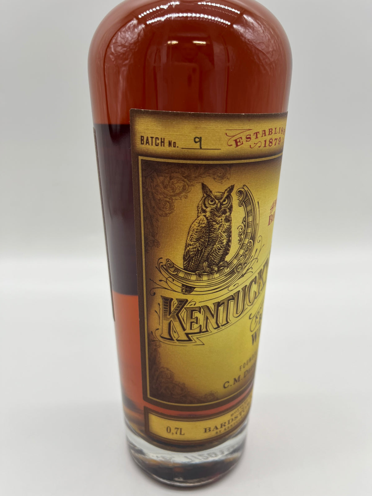 Kentucky Owl - 11 år gammal kull nr 11