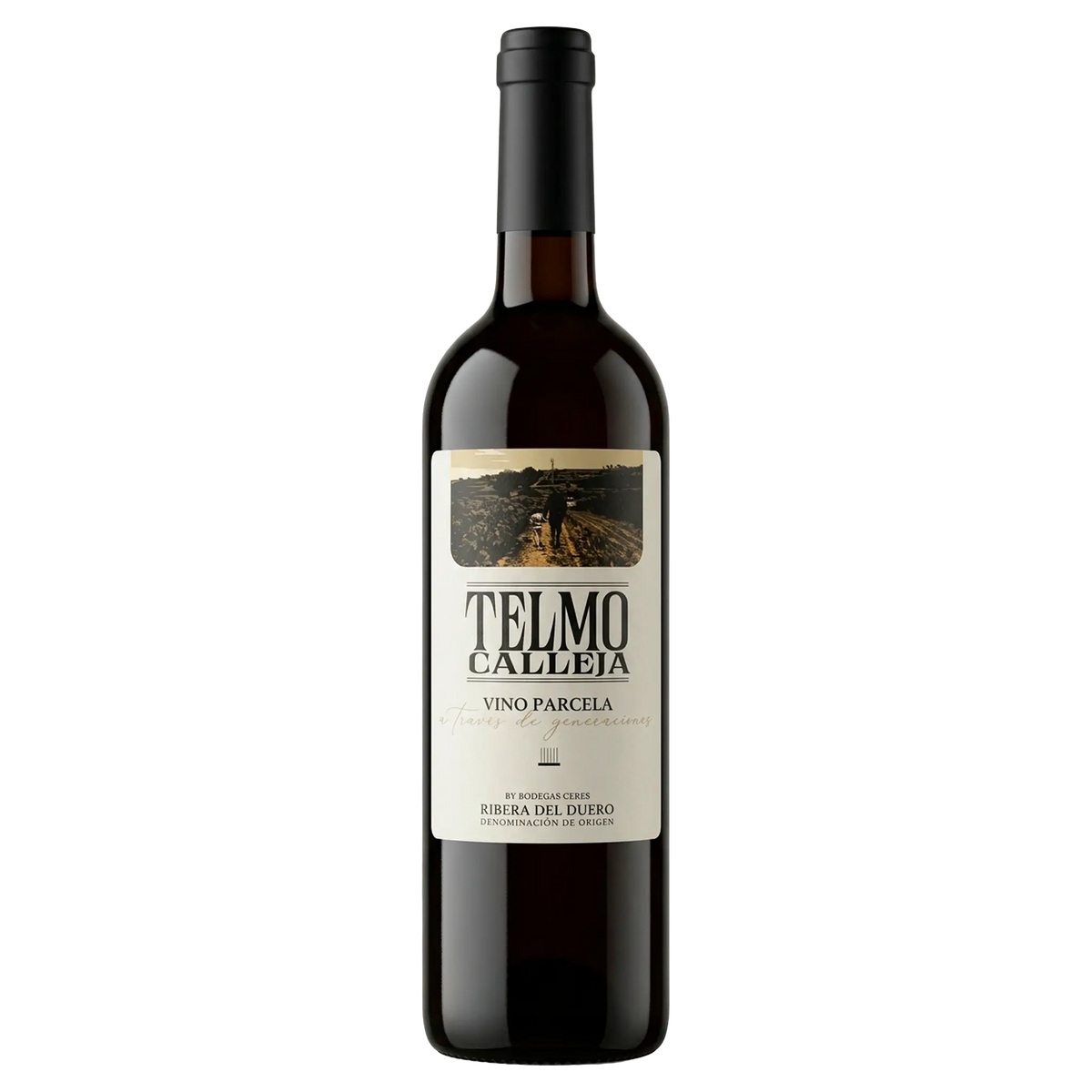 24 st. Telmo Calleja 2023 + GRATIS "At The Bar"-konstverk