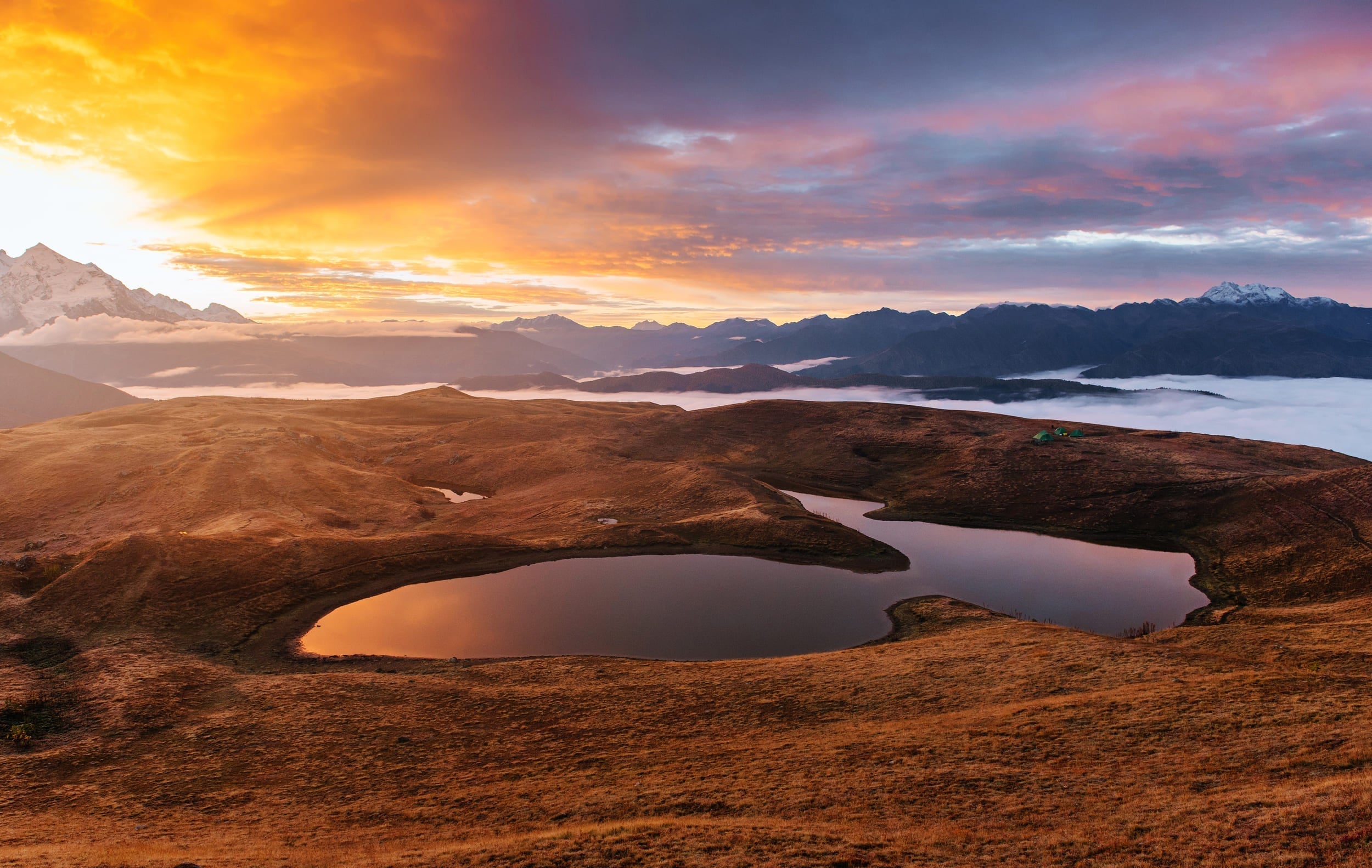 The Macallan A Night on Earth The First Light 