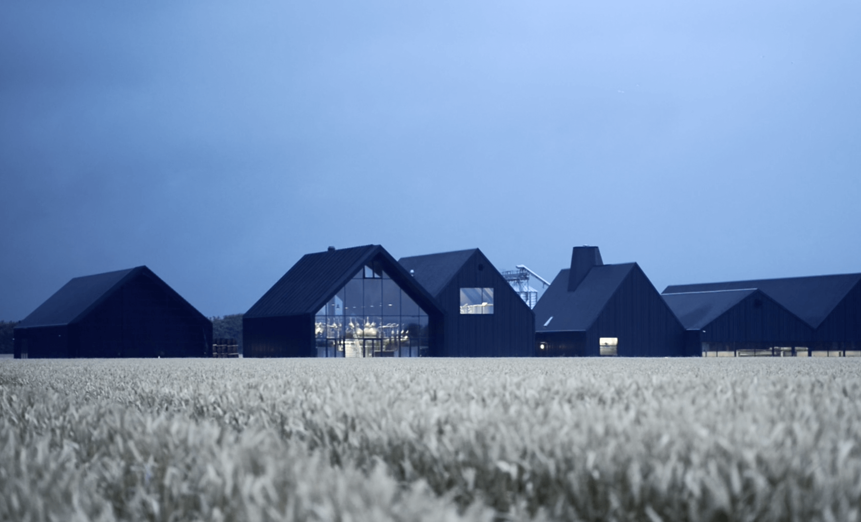 Hvorfor Stauning bruger dansk rug i deres Rye Whisky