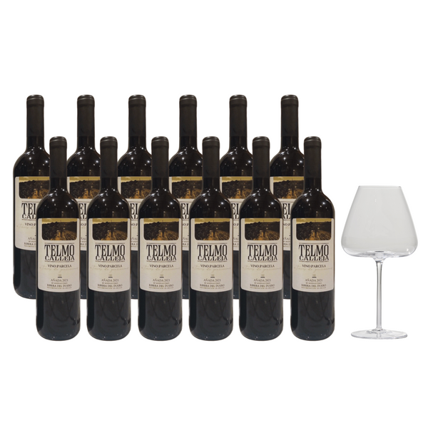 Telmo Calleja 2021 – 12 st + The Bold Bourgogne Glass