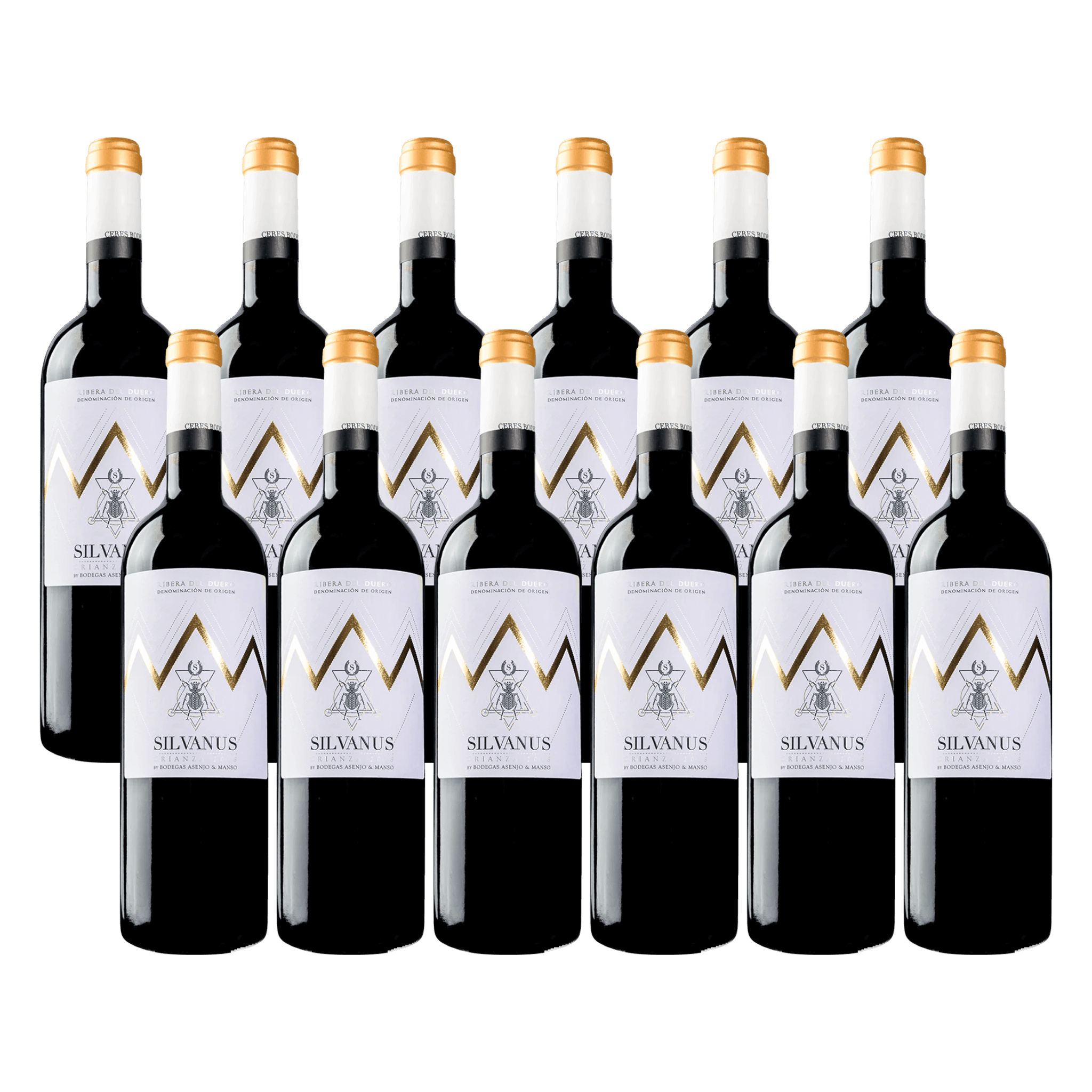 Bodegas Asenjo & Manso Silvanus 2022 Rødvin Red Wine 12 Whiskystack