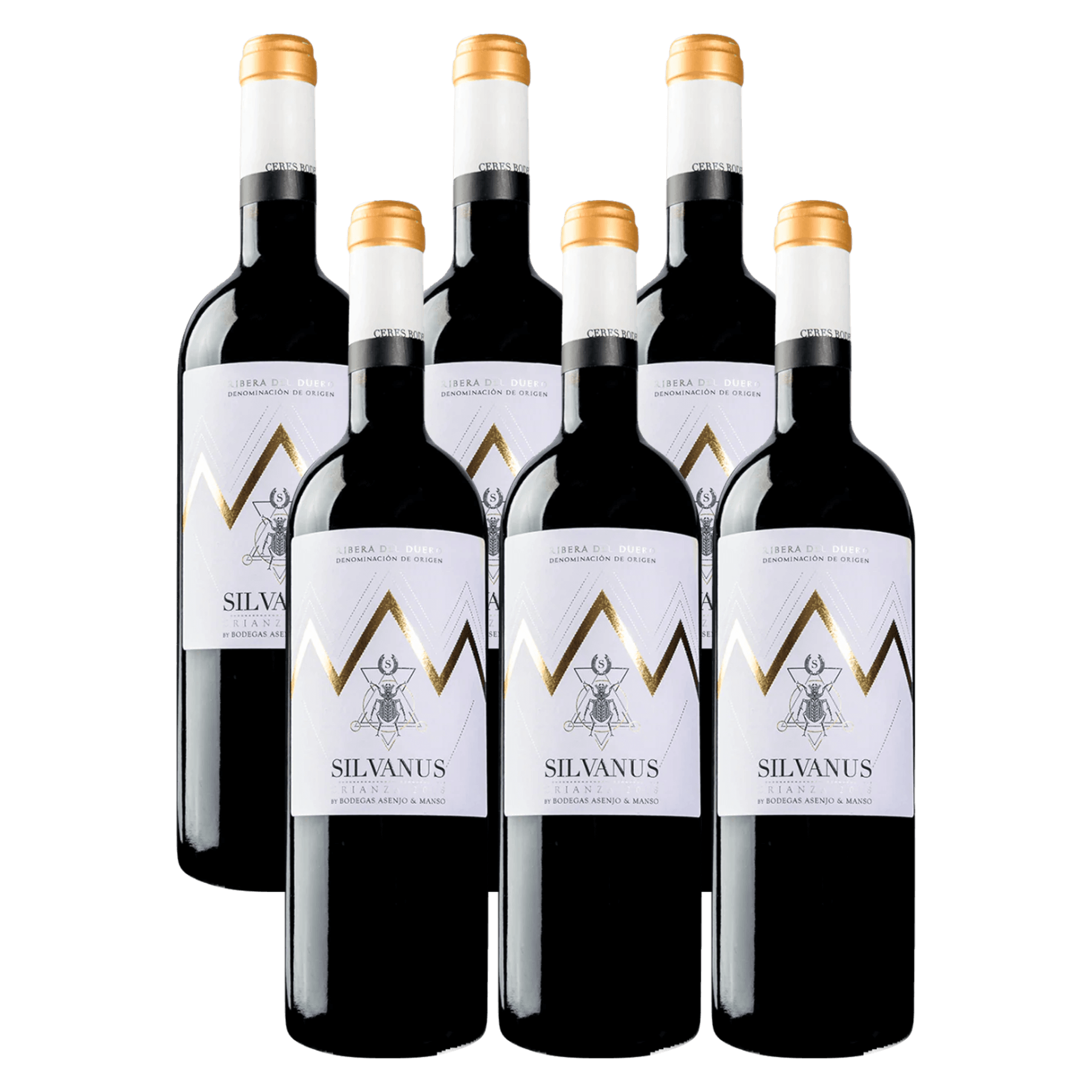Bodegas Asenjo & Manso Silvanus 2022 Rødvin Red Wine 6 Whiskystack