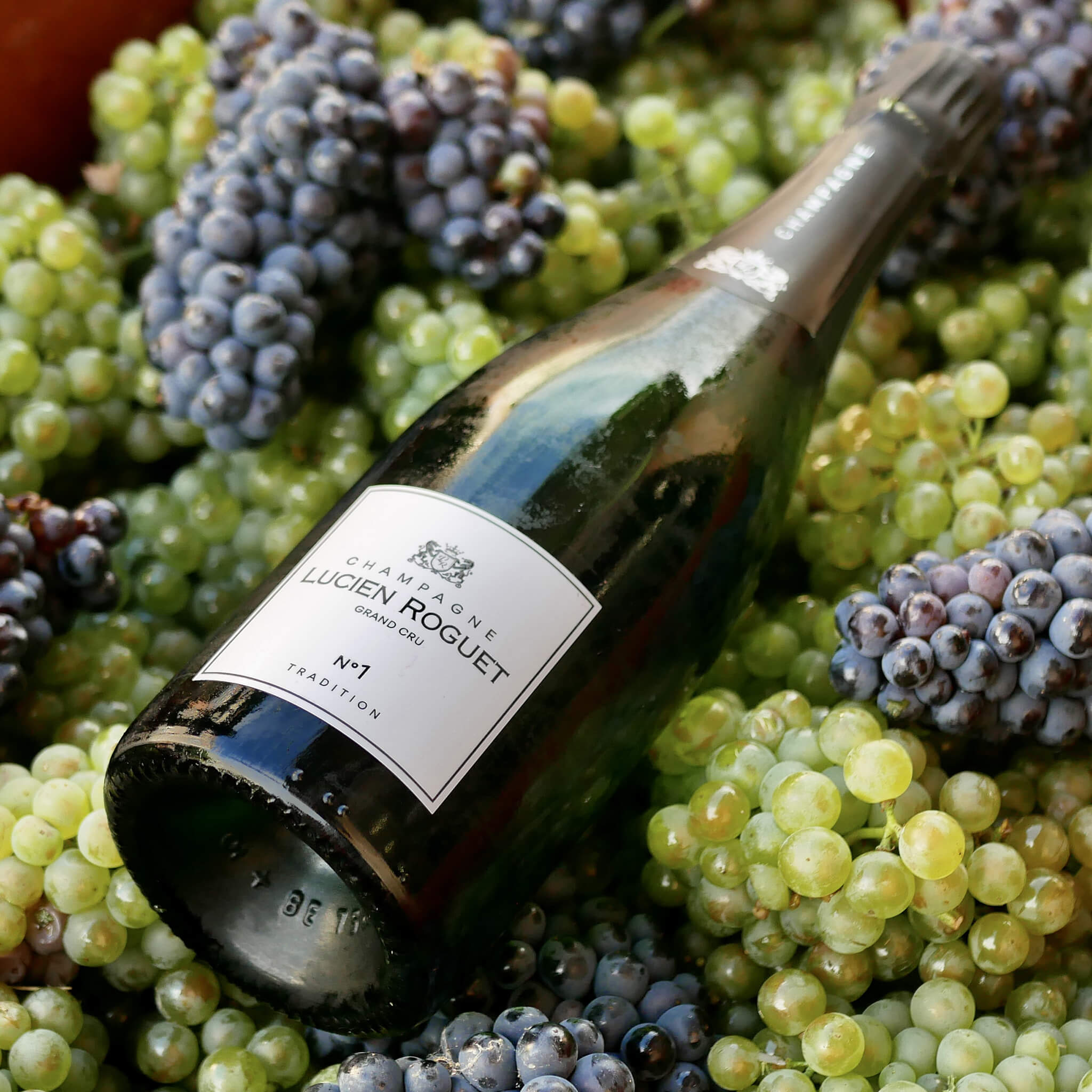 Lucien Roguet No. 1 Tradition Brut Grand Cru Champagne Whiskystack